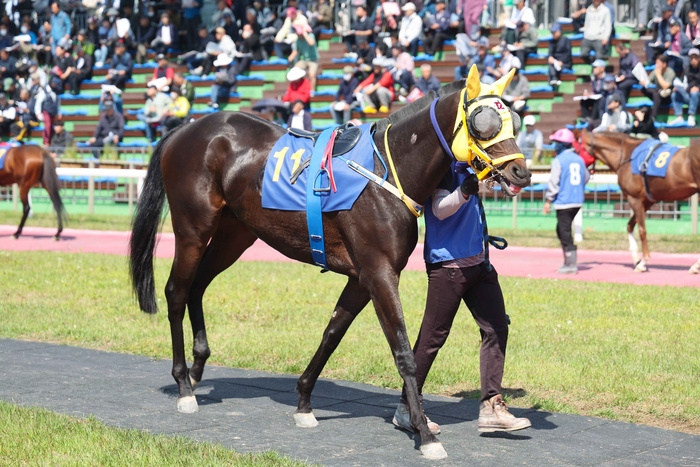용암세상. 사진 | 한국마사회
