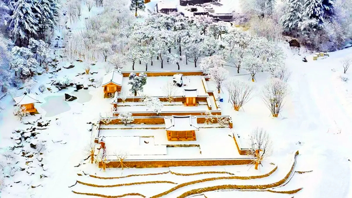 “고독은 특권이다”…겨울, 메덩골과 사유원의 ‘뼈대’를 걷다 [원성윤의 인생은 여행처럼]