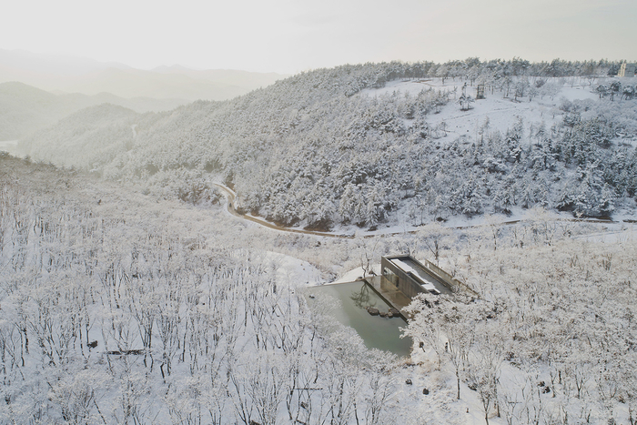 모과길. 사진 | 사유원