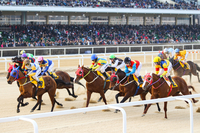 “영천경마장 개장→권역형 순회경마 구현”…한국마사회, 2026년 경마시행계획 발표