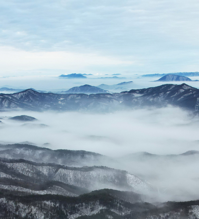 사진 | 메덩골정원