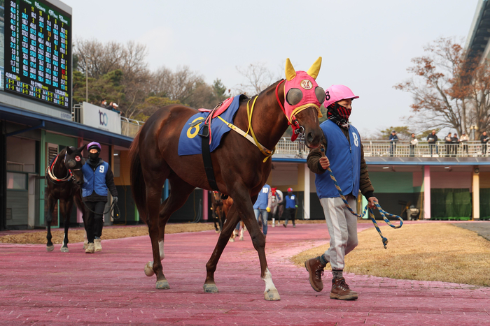 매직포션. 사진 | 한국마사회