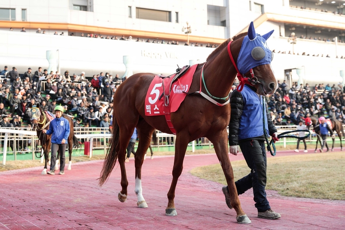 빅스고. 사진 | 한국마사회