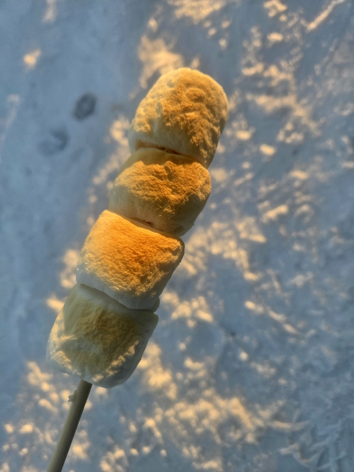 겉은 바삭하고 속은 부드럽게 녹아내리는 마시멜로의 달콤함, 따끈한 군고구마의 구수한 향기, 그 속에 피어나는 도란도란한 이야기는 영하의 추위조차 잊게 만드는 가장 확실한 난로가 된다. 사진 | 소노호텔앤리조트