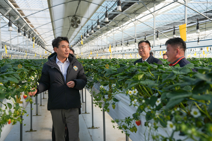 김진태 지사, 양구군 시설원예 농가 한파 대비 점검