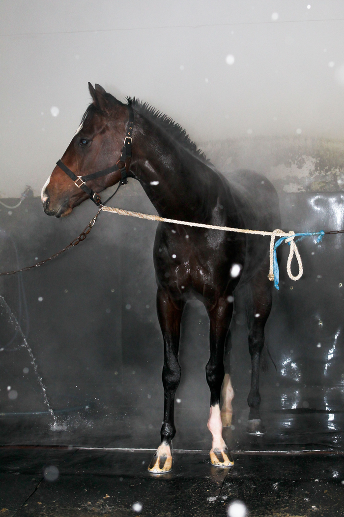 사진 | 한국마사회