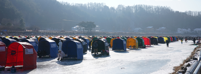 평창군 겨울 축제 <2026년 제17회 평창송어축제> 개막!