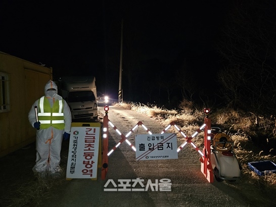나주 육용오리농장 H5형 조류인플루엔자 항원 검출