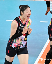 시청률·구름 관중, V리그 덮친 ‘인쿠시 현상’ 어떻게 볼 것인가[정다워의 V-로그]