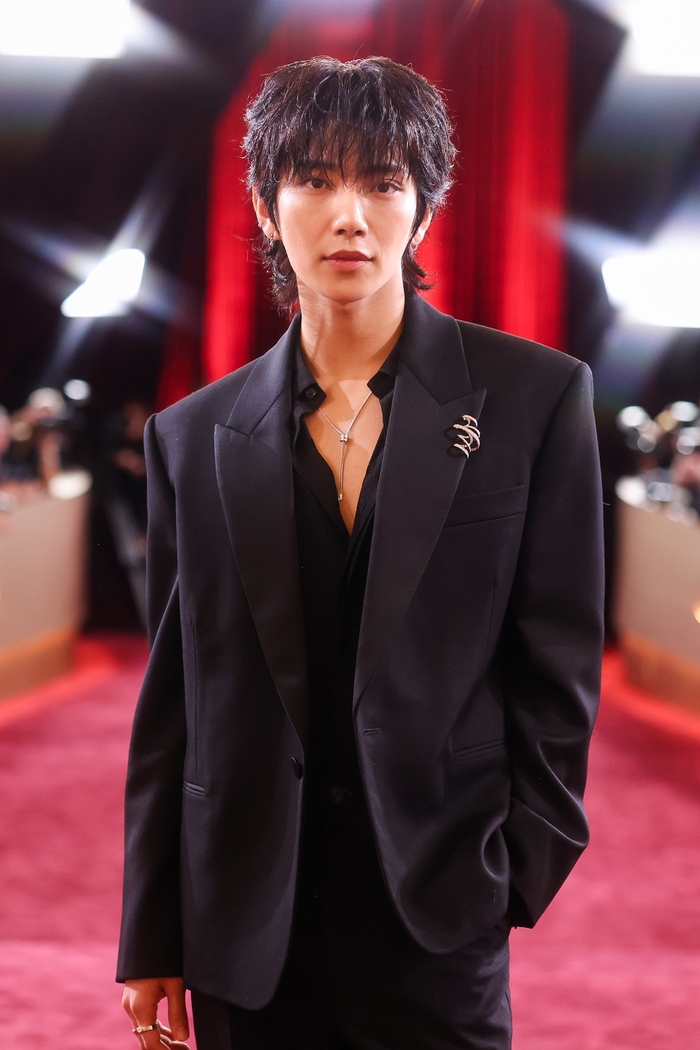 세븐틴 조슈아, 골든글로브 레드카펫 압도