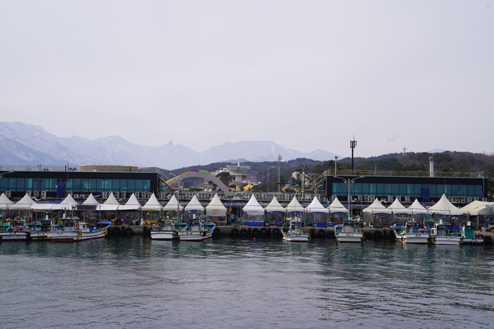 속초시, 14억 규모 2026년 해양수산사업 지원 사업자 모집