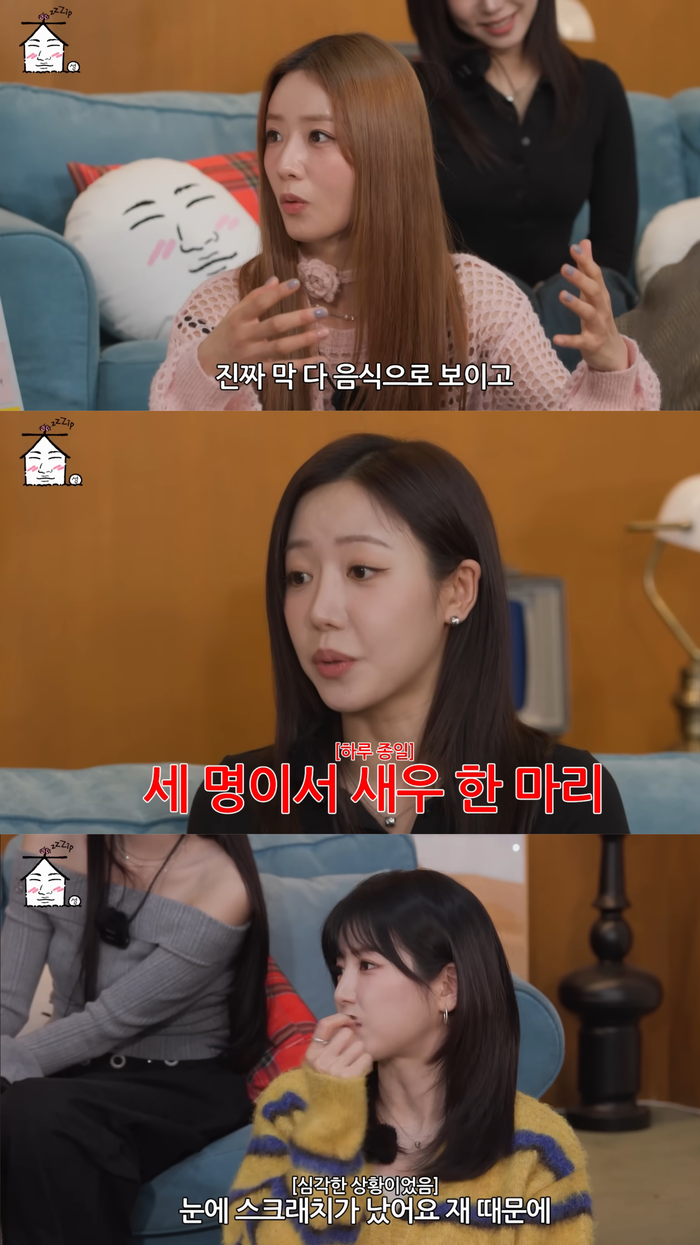 사진 | 유튜브 ‘집대성’ 캡처