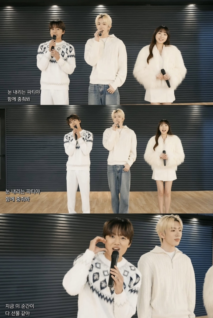 사진|모던베리코리아