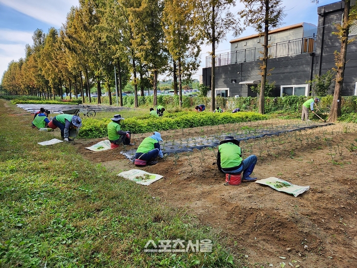 성남시, 상반기 지역공동체일자리 희망자 135명 모집