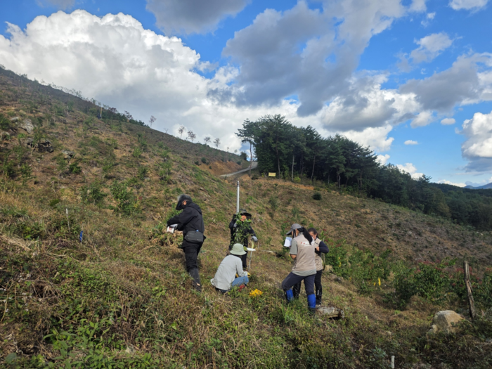 현장 중심 산림소득 수종 연구. 사진|강원특별자치도 산림과학연구원