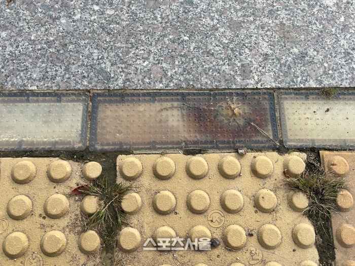 경기도 감사위, 바닥형 보행신호등 44% 기능 불량