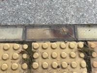 경기도 감사위, 바닥형 보행신호등 44% 기능 불량