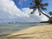 핸들을 놓거나, 혹은 잡거나…괌을 여행하는 두 가지 ‘속도’ [원성윤의 인생은 여행처럼]