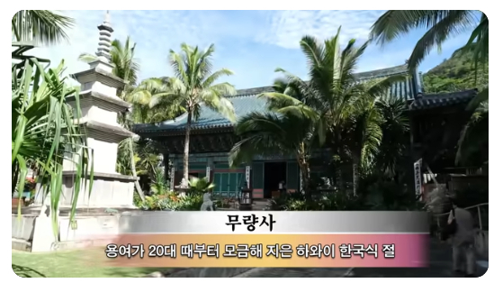 사진|선우용녀채널캡처