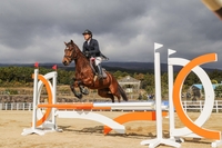은퇴한 경주마→승용마 ‘제2 삶 지원’…한국마사회, 1차 신청 접수