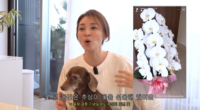 사진 | 유튜브 ‘야노시호’ 캡처