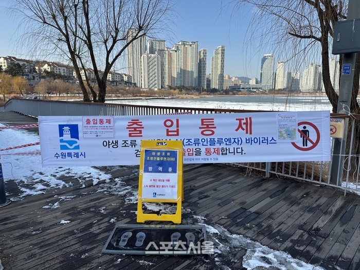 수원시,원천호수 큰기러기 폐사체서 AI 검출...산책로 하부 구간 통제