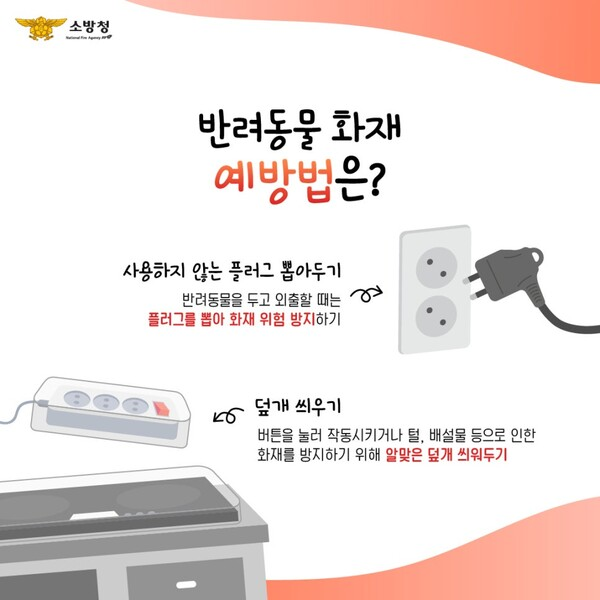 사진|강원특별자치도 춘천소방서