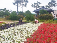 보성군, 상반기 직접 일자리 사업 신청하세요