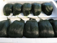 완도군, ‘완도의 5대 겨울 별미’ 선정