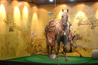 과거 지배층만 소유한 말, 그리고 말갖춤으로 보는 역사