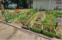 의왕시 ‘쑥쑥튼튼 상자텃밭’ 유치원 등 3곳 공모