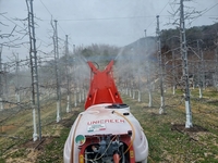 남원시농업기술센터 “농작물 병해충 방제 지원에 나선다 ”...과수화상병, 돌발병해충, 토마토뿔나방 적용 약제 지원