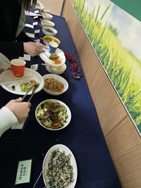 강진군,  ‘쌀귀리’로 농업-식품-관광산업 본격 육성