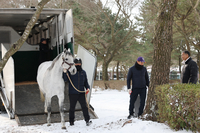 ‘세계 챔피언’ 닉스고 제주 입성…한국마사회, 교배료 전액 무상 지원