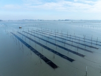 전남도, AI-스마트 양식 전환... 수산 양식 산업 새 도약