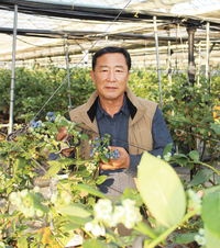 건강 열매의 대명사 블루베리 국내산 선도, 도전과 열정 땀으로 농업의 미래 열어