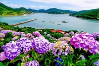 고흥군 쑥섬, 문체부 로컬100 선정... 관광 브랜드 경쟁력 강화