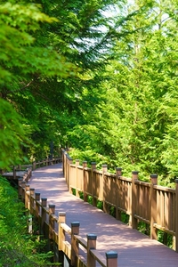 보성군, 제암산휴양림-치유센터... 사계절 체험형 치유 관광지로 주목