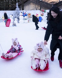 올겨울 ‘에버랜드’서… 눈썰매부터 스파까지 원스톱 힐링
