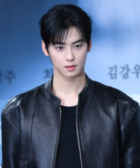 ‘문제없다’ 해명은 불리…前 국세청 조사관의 차은우 대응 조언