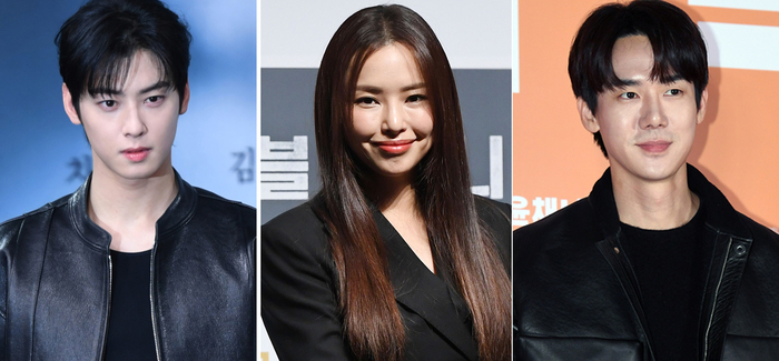 '연예인 걱정은 기우?'...차은우200·유연석70·이하늬60억억억, 세금추징만 헉헉헉