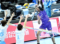 [포토]힘차게 공격하는 우리카드 아라우조