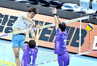 [포토]힘차게 공격하는 대한항공 정한용