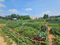 의왕시, 행복가꿈 주말농장 분양 신청 접수... 25~ 27일