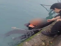 완도해경, 노화도 이목항 인근 해상 추락자 신속 구조