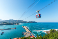 삼척해상케이블카, 시설물 집중점검 추진