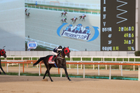 제24회 세계일보배 개최 ‘말의 해’ 첫 대상경주 트로피는 누가