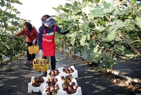 전남도, 농어민 공익수당 10만 원 인상...4월 조기 지급