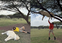 약에 취한 사자와 인증샷?…노홍철, 동물학대 논란 반박