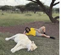 노홍철 ‘사자 학대’ 논란 반전… 현지 업체 “약물 투여? 사자의 정상적 낮잠” 해명